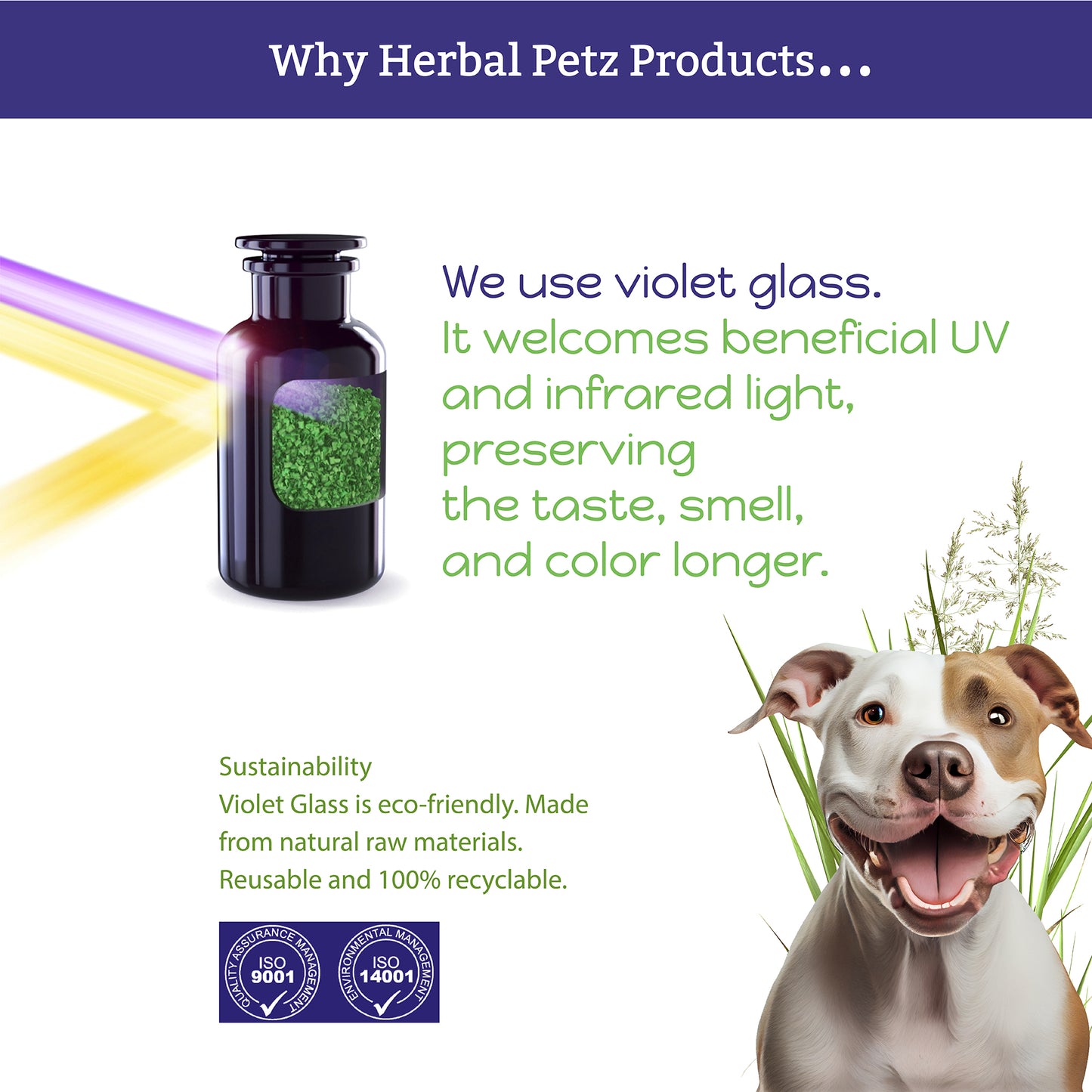 Canine-Help for Dogs and Puppies - Herbal Health Supplement, Occasional Tummy Upsets, Gut Immune Support, Firm Stools, 1 Fluid Ounce Glass Bottle, Manufactured in The USA