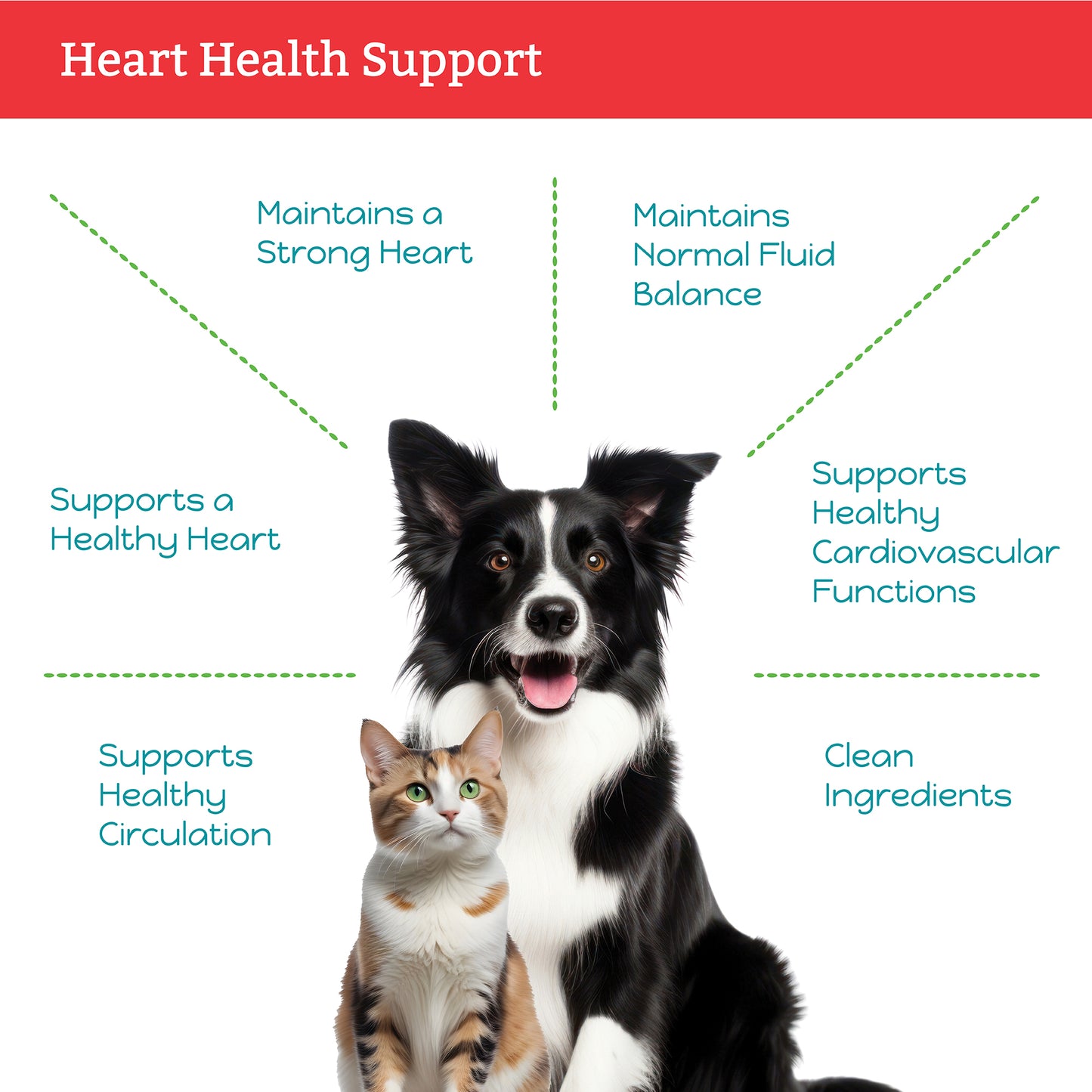 Hawthorn + Dandelion for Cats & Dogs - Herbal Health Supplement, Circulation, Healthy Heart, Fluid Balance, 1 Fluid Ounce Glass Bottle, Manufactured in The USA