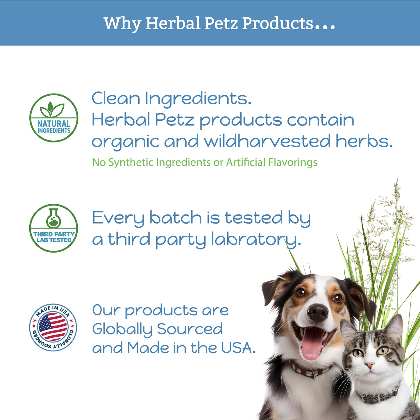 Hawthorn + Dandelion for Cats & Dogs - Herbal Health Supplement, Circulation, Healthy Heart, Fluid Balance, 1 Fluid Ounce Glass Bottle, Manufactured in The USA