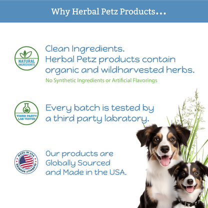 Canine-Help for Dogs and Puppies - Herbal Health Supplement, Occasional Tummy Upsets, Gut Immune Support, Firm Stools, 1 Fluid Ounce Glass Bottle, Manufactured in The USA